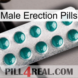 Male Erection Pills